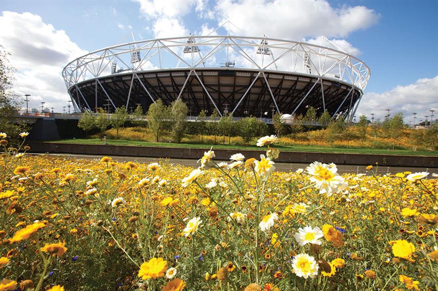 Wild flower meadows: backdrop for the 2012 Olympics