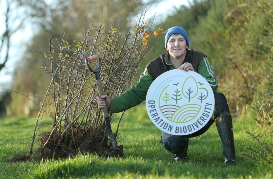 Bryan Daniels, an award-winning dairy farmer from Co Kilkenny - credit: Glanbia