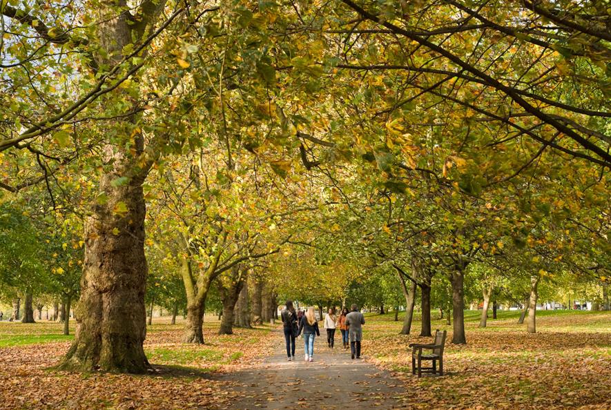 Urban parks help to make cities liveable. Image: Copyright The Royal Parks