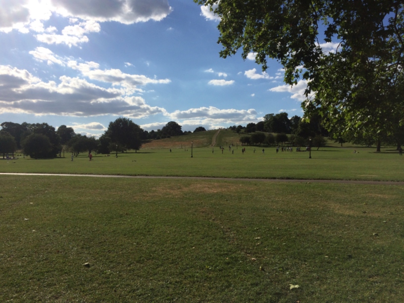 Parks are key aspects of urban green infrastructure. Image: HW