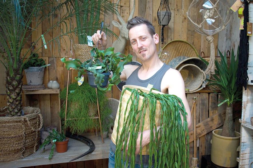 Holt: now selling efig office plant of the year Rhipsalis - image: © 2016 Leela Axon