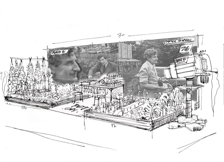 Artist's impression of the design for the garden feature to honour Peter Seabrook 