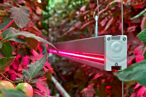LED interlighting - image:Phillips