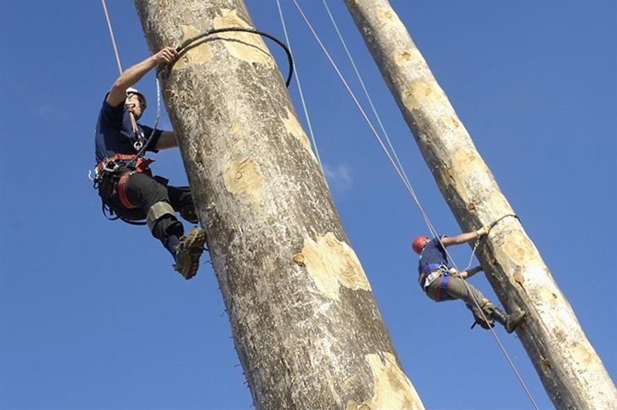 World pole climbing championships set for APF event Horticulture Week