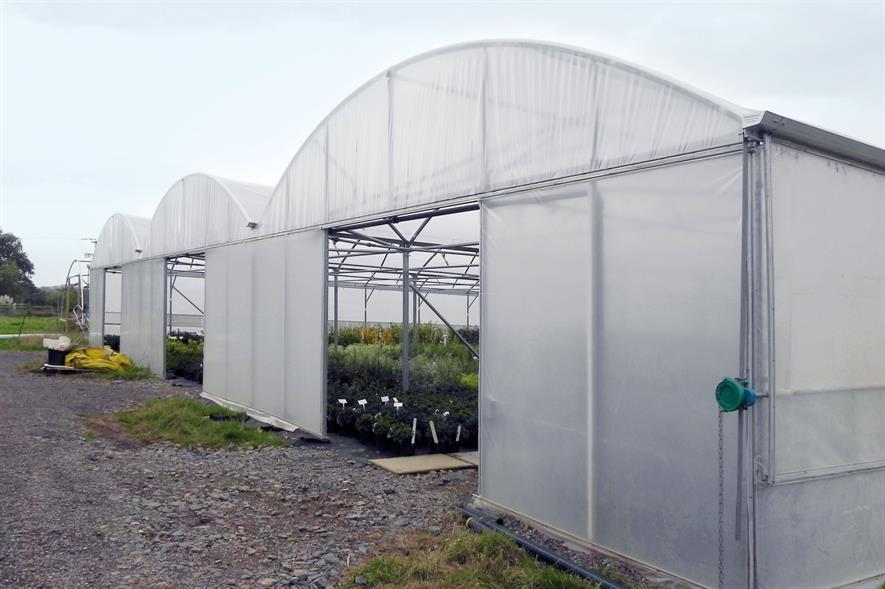 Polytunnels provide enhanced conditions with most suitable light for growth