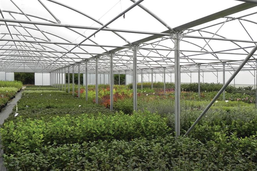 Rainbow Plants: polytunnels help to keep a wide range of plants in tip-top condition - image: HW