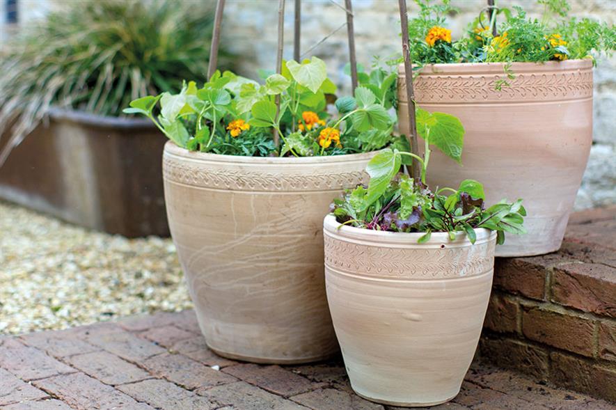 What trends does Wyevale Garden Centres see emerging in 2019