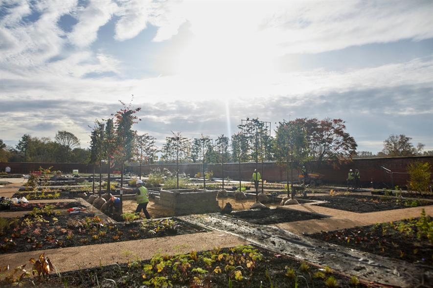 Tree planting in the Paradise Garden at RHS Garden Bridgewater - image: Mark Waugh