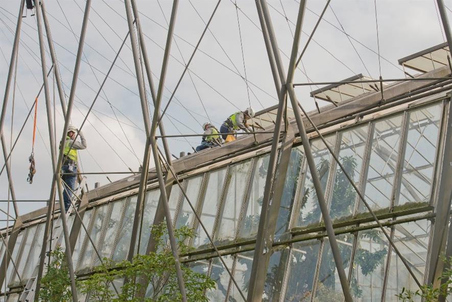 Specialist contractors SG Access at work on the glasshouses. Image: RBGE