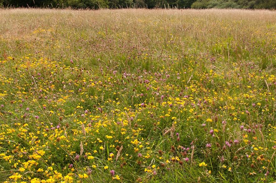 The site of the temporary mortuary will make way for a wildflower meadow - credit: City of London Corporation