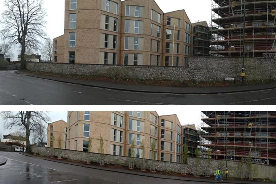 Image: Bristol Tree Forum