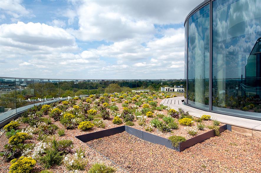 Regent’s Place: green roofs are good to look at, provide welcome amenity space and offer biodiversity value - image: British Land