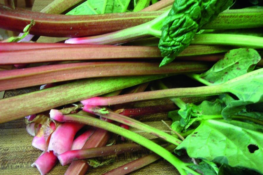 Rhubarb. Image: MorgueFile