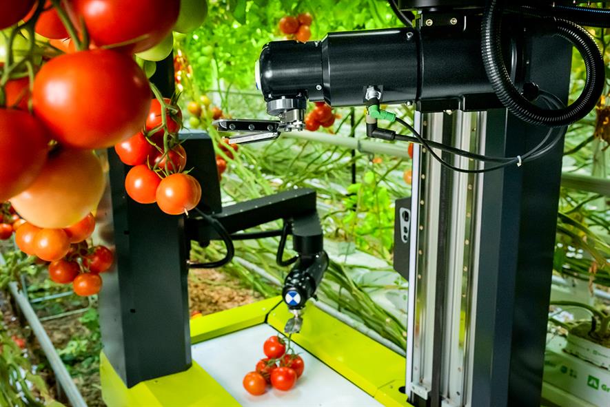 Glasshouse robotic technology - credit: Ridder