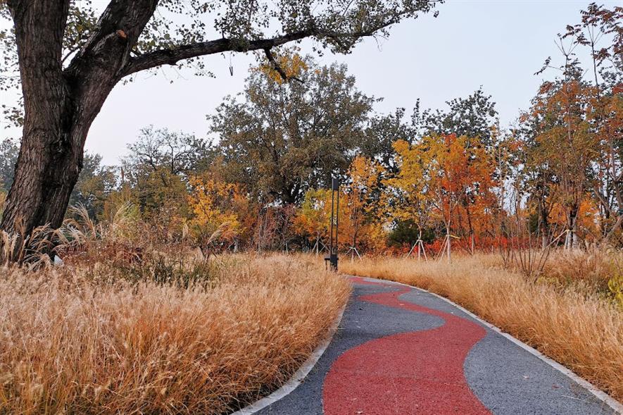The SGD conference tackles garden design in an era of climate crisis - credit: SGD