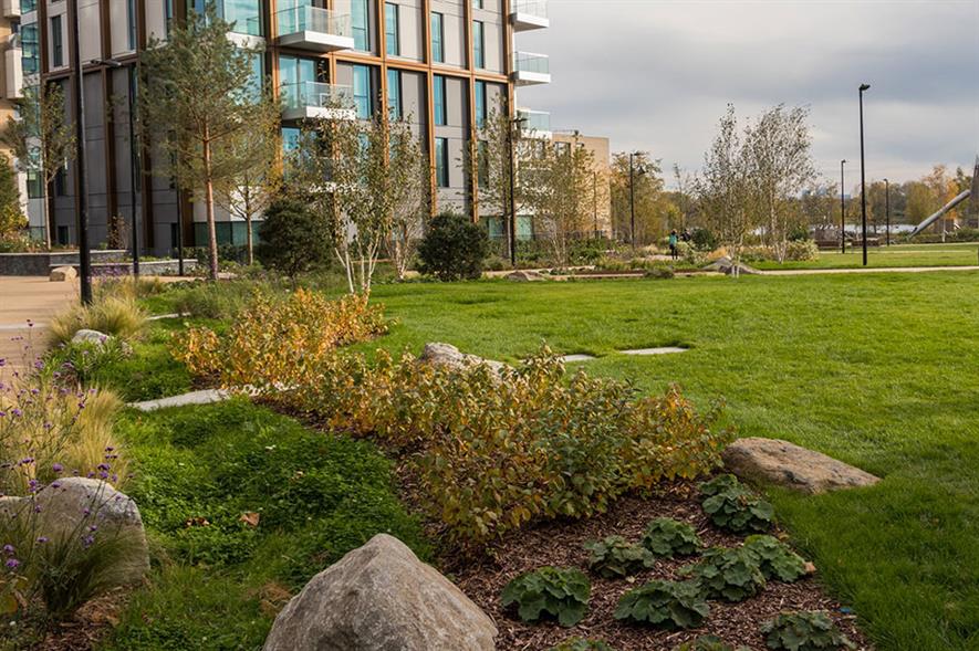 SuDS installed at Spring Park, Woodberry Down