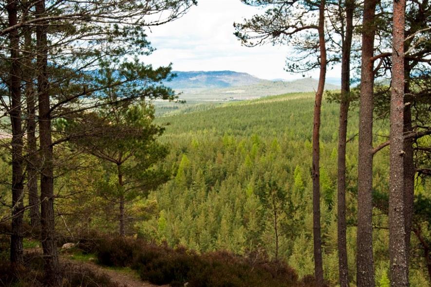 Speyside - image: Graeme Churchard (CC BY 2.0)