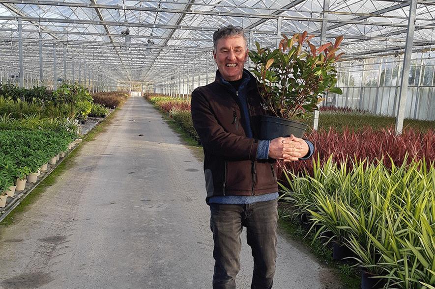 Steve Reed with peat-free Photinia 'Red Robin' - credit: Wyevale Nurseries