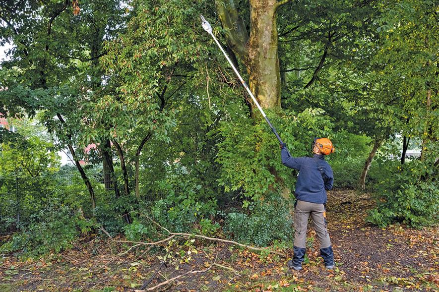 Credit: STIHL
