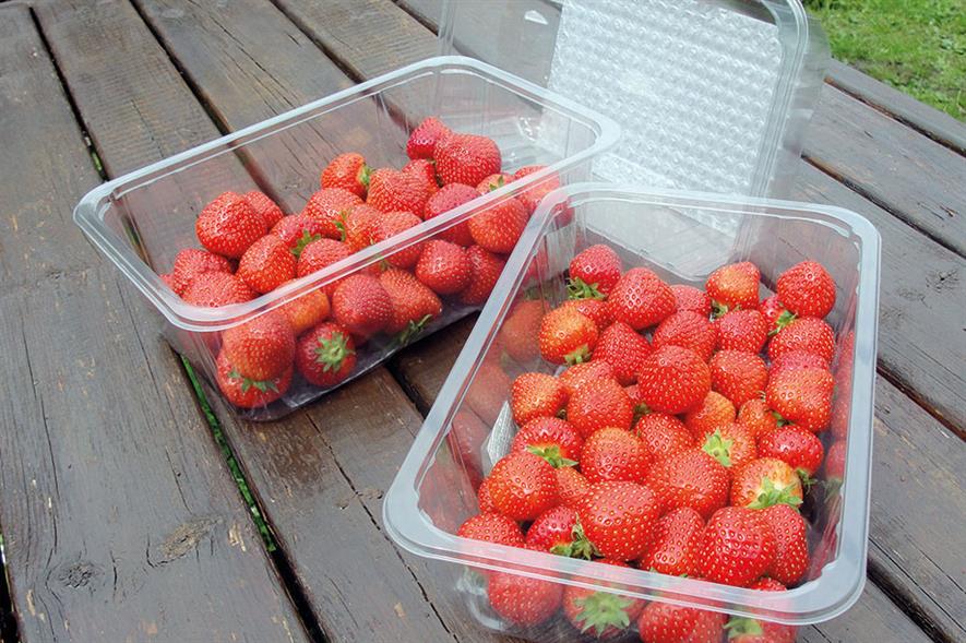 Strawberry punnets: Holfeld’s K80 range meets requirement for top sealing and is laterally vented to reduce condensation - image: Holfeld Plastics