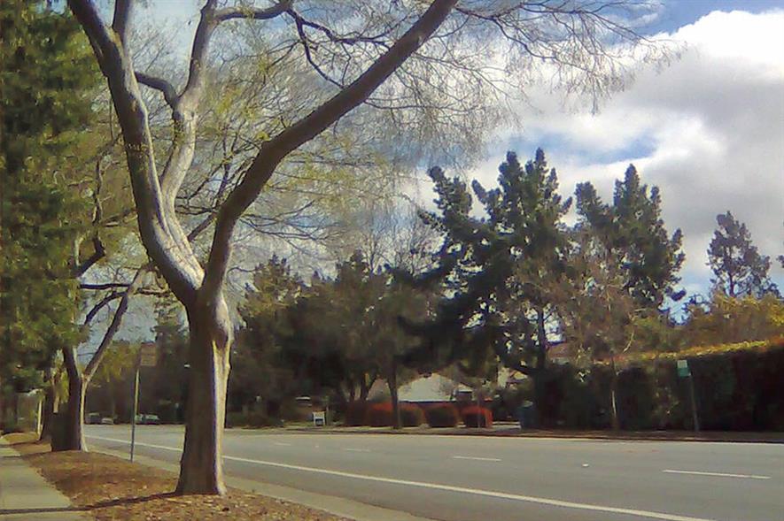 Street trees are responsible for a broad range of benefits - credit: Morguefile