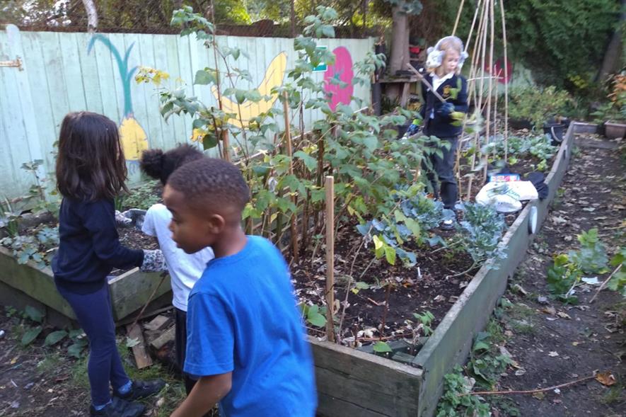 London Playground Expands Child-focused Community Allotment Programme 