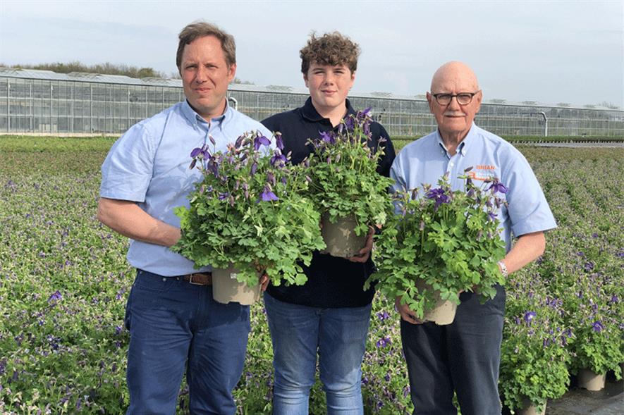 L to R: Managing director Mark Taylor, Mark's son George Taylor and chairman Brian Taylor - image: Allensmore Nurseries