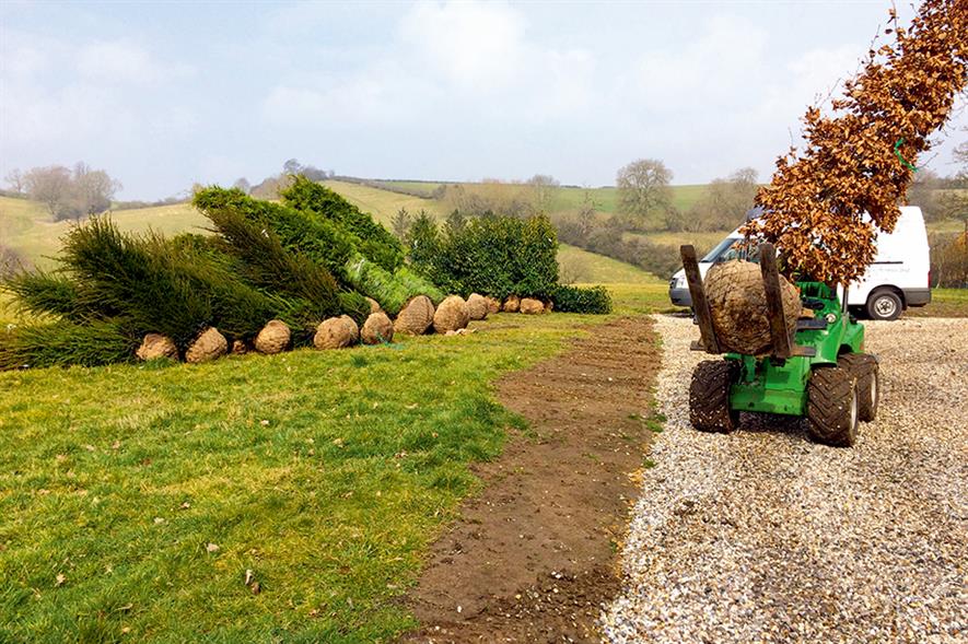 Instant impact: planting of large material is increasingly popular option on estates - image: The Tree & Hedge Co