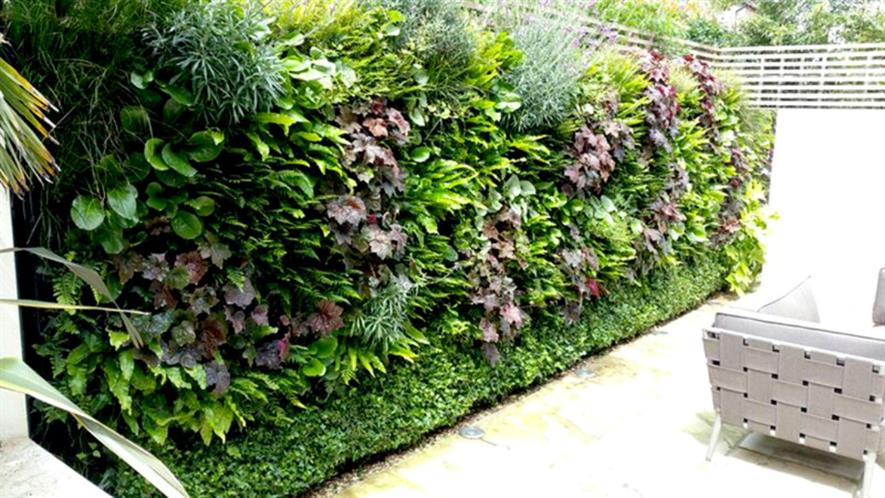 A Treebox project in Chiswick, one Biotecture will maintain. Image: Treebox