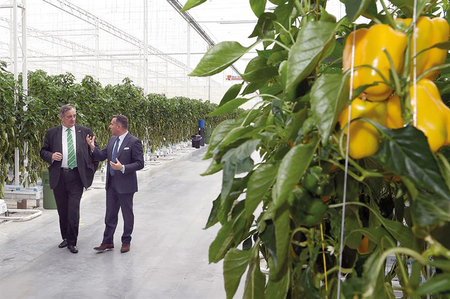 Valley Grown Nurseries: first phase of glasshouse expansion programme was unveiled in May - image: HW
