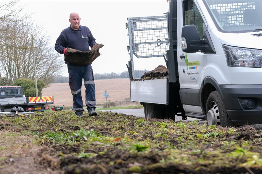 The wildflowers will enhance roundabouts and verges at three West Berkshire locations - credit: Wildflower Turf