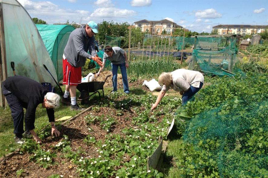 Haymarket partners with The Wilderness Foundation as part of new CSR programme Horticulture Week