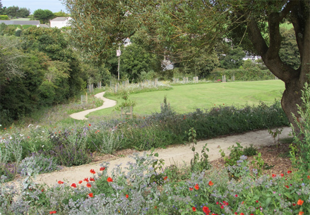 Wildflower Turf worked with Cornwall Council on its £3.5m Green Infrastructure for Growth project. Image: Wildflower Turf