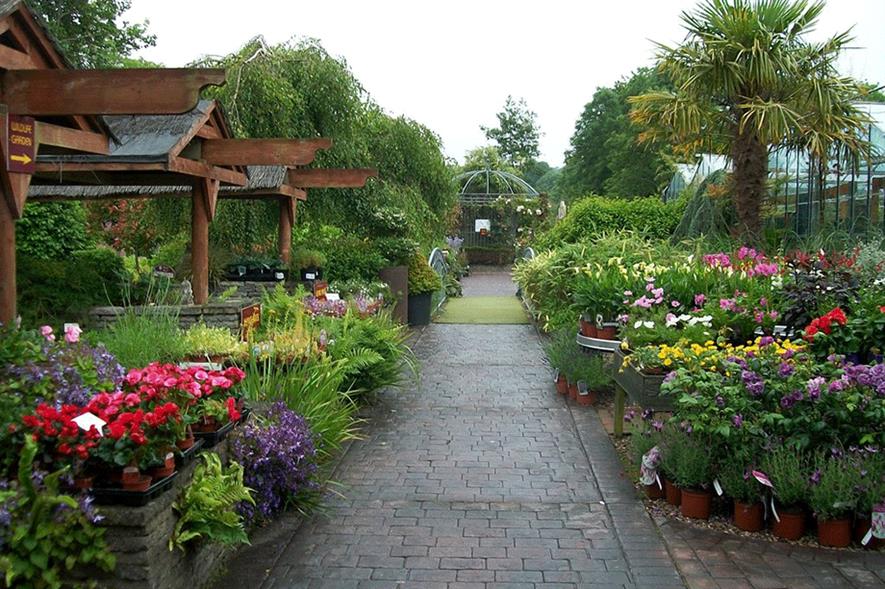 northern-ireland-garden-centres-to-reopen-on-18-may-hortweek