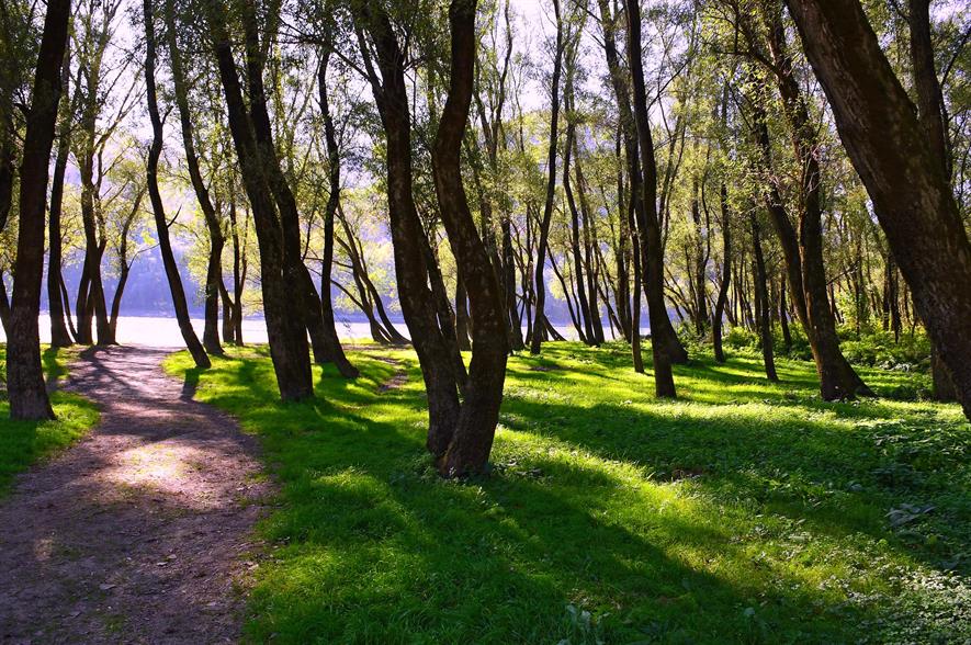 Riverbank