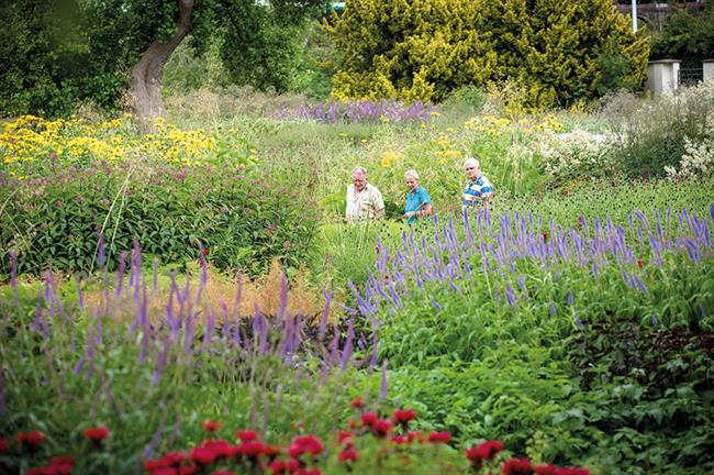 Winner: Trentham Gardens