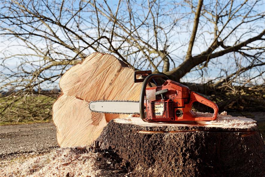 Tree felling
