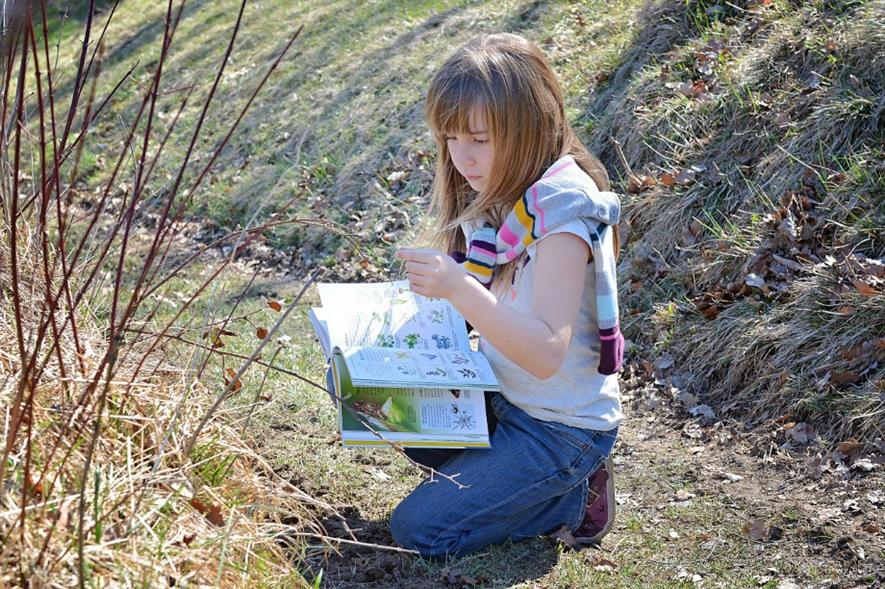 A kids' nature trail is being crowdfunded on MyParkScotland. Image: Pixabay