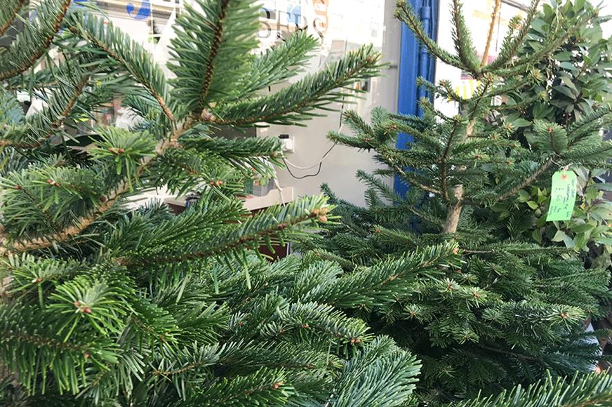 Christmas trees