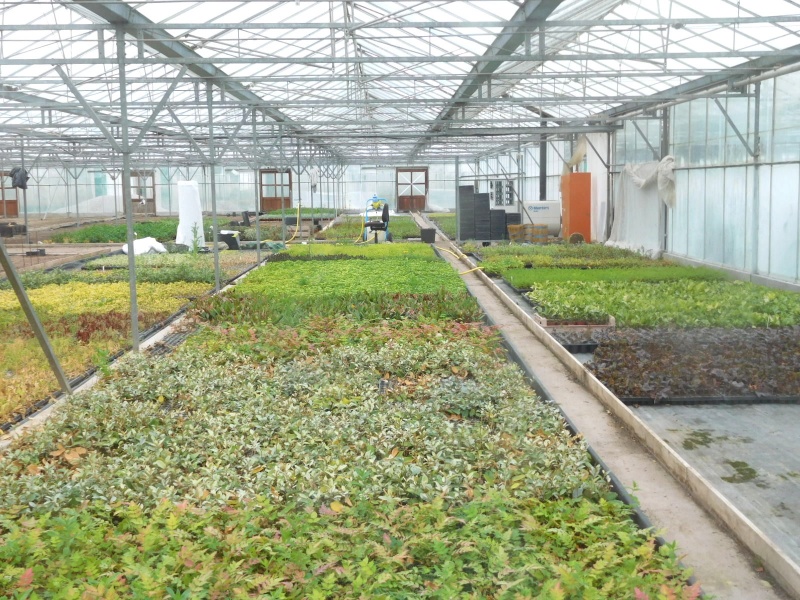 North Western Plants buys Chesterbased hardy nursery stock grower Barrow Nurseries