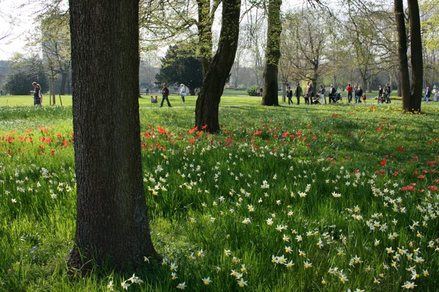 Funds still available for green space projects. Image: MorgueFile