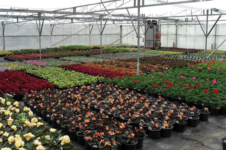 Cherry Lane Garden Centres Opens Nursery At Former David S Centre