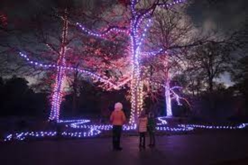 Kew lights continue until January