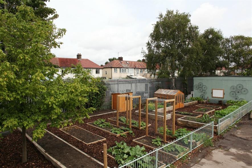 Trees for Cities offers edible playgrounds to school Horticulture Week
