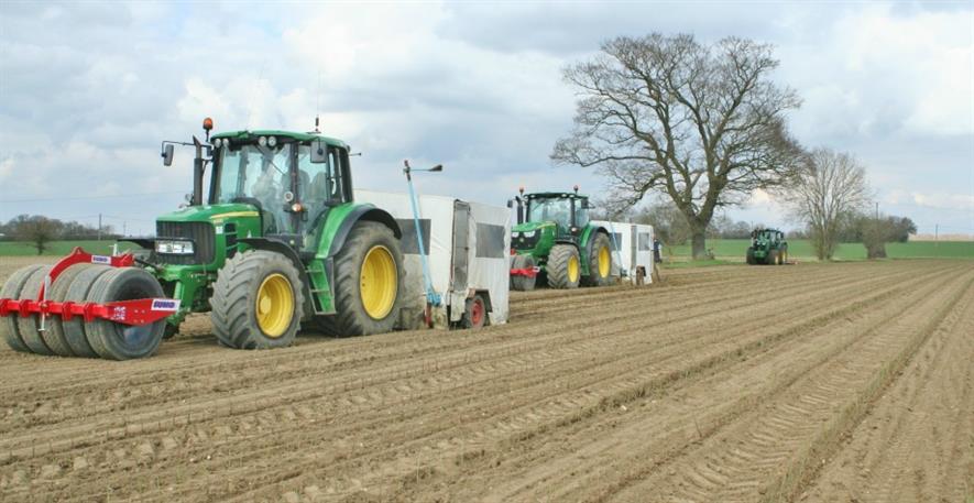 Whartons complete rose rootstock planting | Horticulture Week