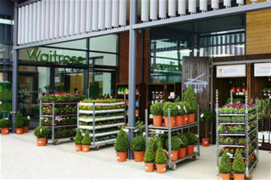 Waitrose outdoor plants sales rise 33 per cent Horticulture Week