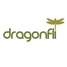 Dragonfli