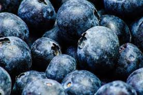 Blueberry