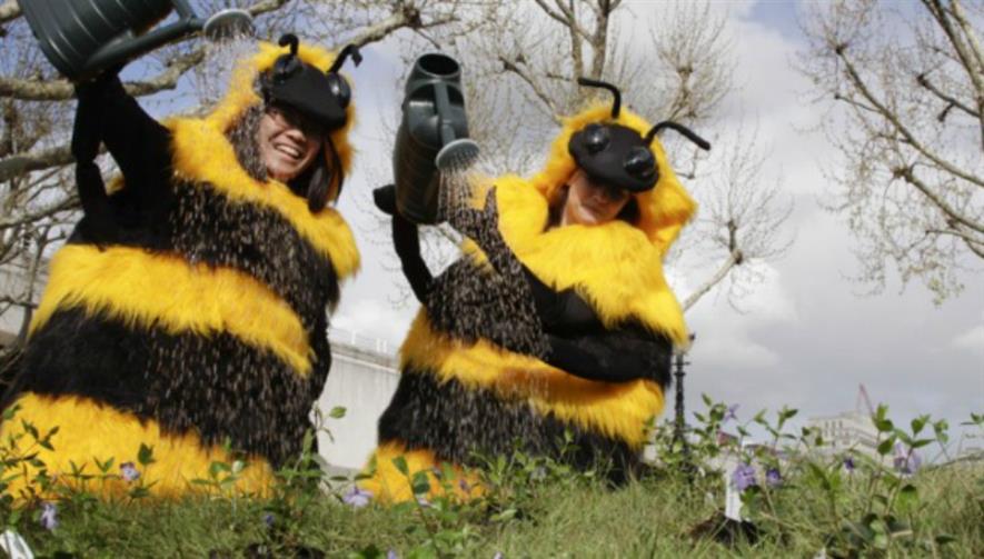 Friends of the Earth bee campaigners