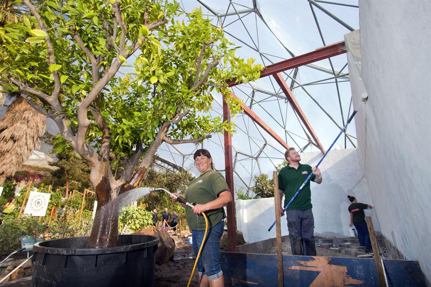 Eden Project To House Rhs Chelsea Flower Show Garden